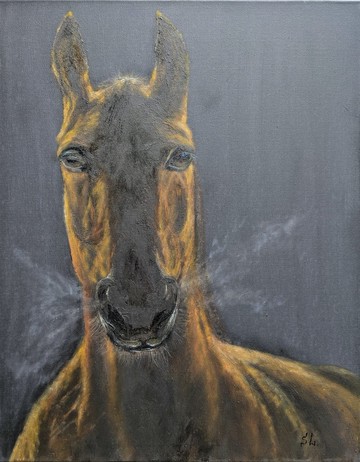 馬油畫冠軍肖像室內畫阿拉伯馬手工