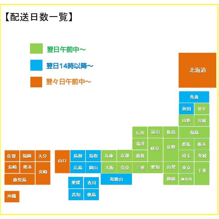 塩丸いか 180g(1本) 5パック　信州 名物  塩イカ 冷凍 国産  郷土食 塩漬け 塩丸イカ