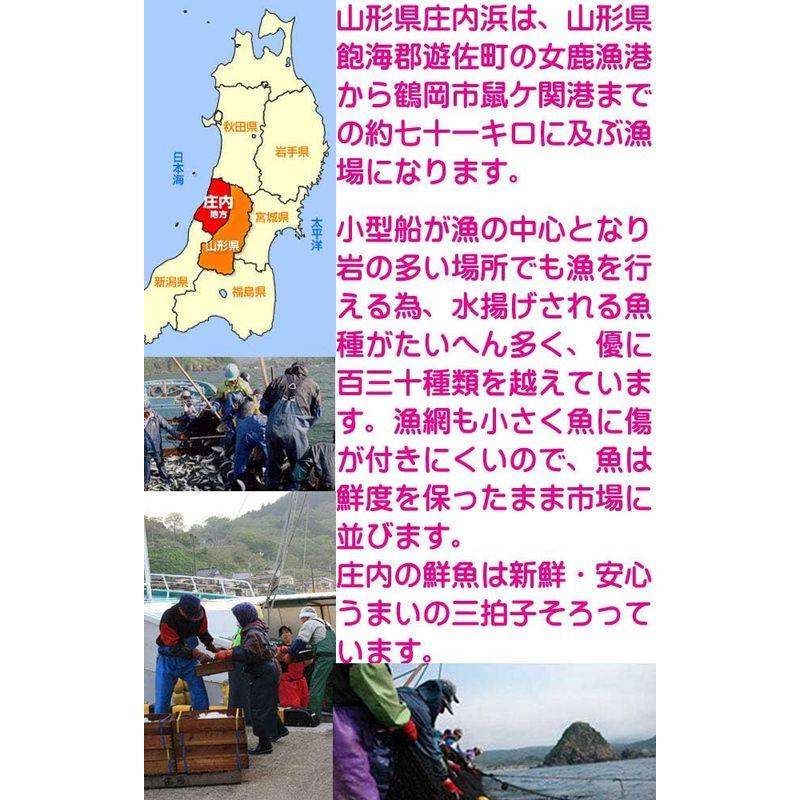 鮮魚セット B 母の日 詰め合わせ 直送 ギフト ギフトセット 山形県庄内産 魚 さかな 食の都庄内