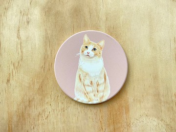 橘貓-陶瓷吸水杯墊