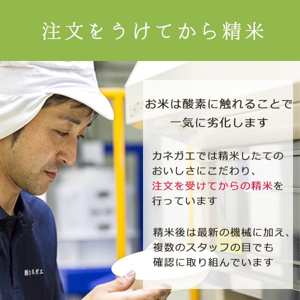 お米 10kg 新米 白米 送料無料 令和5年産 福岡県産 ひのひかり 和食 洋食 合うお米