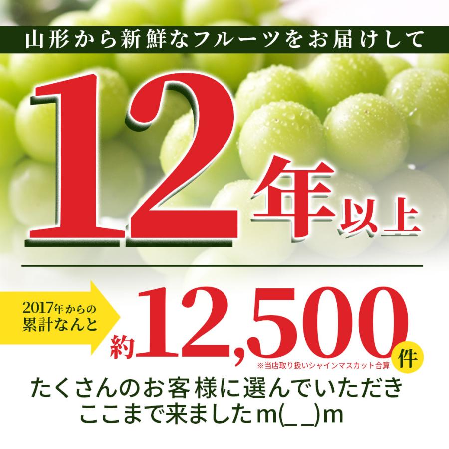 ぶどう 秀品 シャインマスカット 1房 (約600g前後) 山形県産 ギフト 贈答 プレゼント 化粧箱 贈り物 大粒 産地直送 (遠方送料加算)