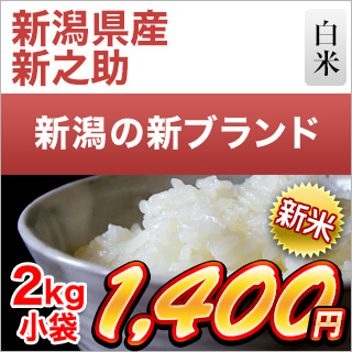 新米 令和5年(2023年) 産 新潟県の新ブランド 新之助 白米 2kg