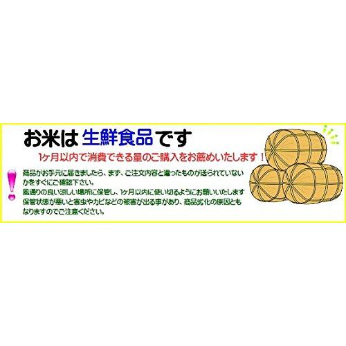 令和4年産 新潟県岩船産コシヒカリ 精米 生産者限定 (精米 5kg)