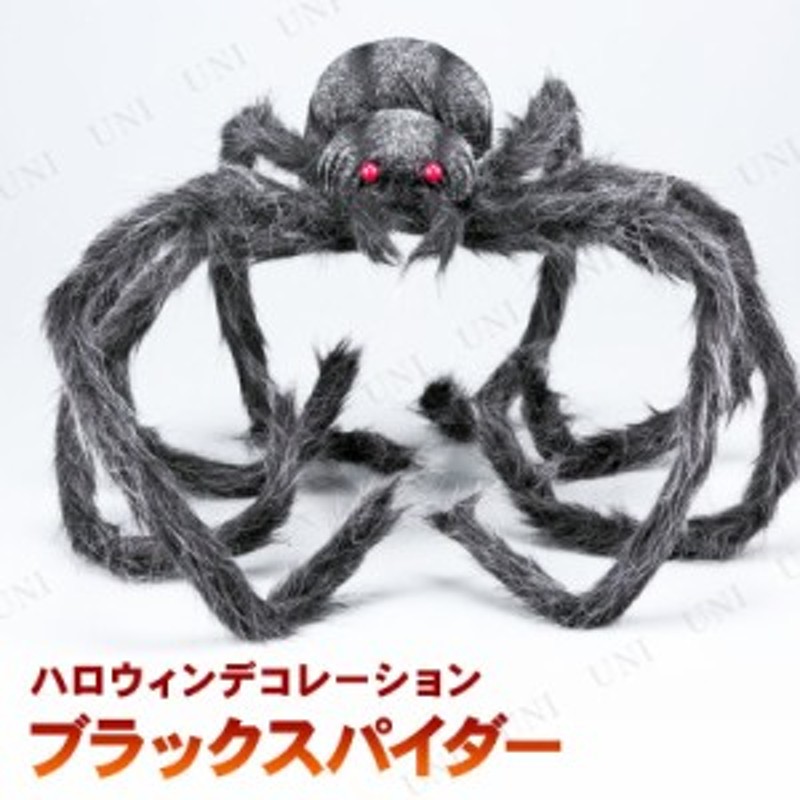 ブラックスパイダー インテリア 雑貨 ハロウィン クモ 蜘蛛 飾り 装飾品 デコレーション くも 通販 Lineポイント最大1 0 Get Lineショッピング