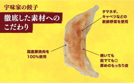 　餃子20個入り×2箱