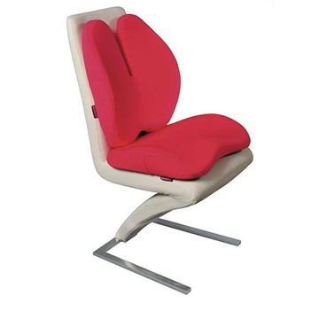 【IMAGER-37. 易眠床】舒壓雙背坐墊組-粉-廠商直送