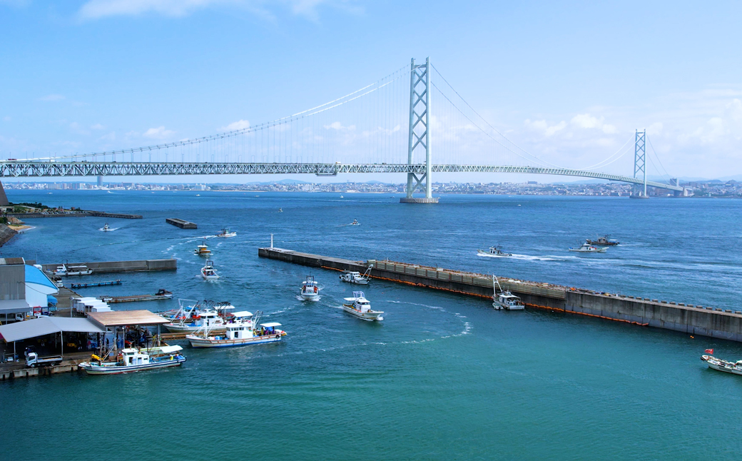 淡路島の生しらす（5食入り）