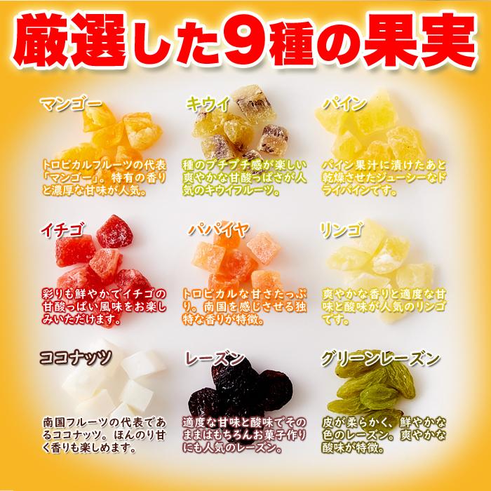 ミックスフルーツ9種 1kg ドライフルーツ 果物 果実 ミックス フルーツ おやつ 朝食 ヨーグルト グラノーラ お菓子作り 乾燥 大容量