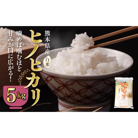 ふるさと納税 八代市産 ヒノヒカリ 5kg 令和5年産 米 熊本 送料無料 熊本県八代市