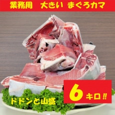 業務用　大きいまぐろカマ　6kg