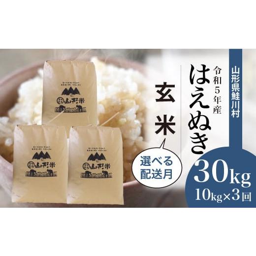 ＜令和5年産＞ 鮭川村産 はえぬき  30kg定期便 （10kg×3回発送）