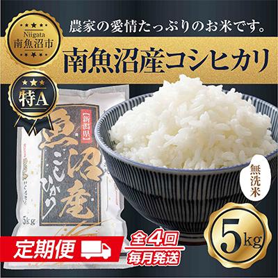 ふるさと納税 南魚沼市 無洗米 南魚沼産 コシヒカリ お米 5kg 精米 (美味しい炊き方ガイド付き)全4回