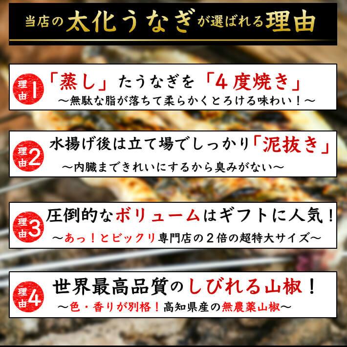 国産 蒲焼き 特大うなぎ メガ盛り 3カット 600gセット 6〜8人前