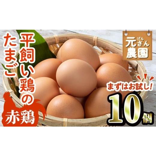 ふるさと納税 大分県 佐伯市 ＜お試し用＞ 平飼い赤鶏のたまご (計10個) 元さん農園