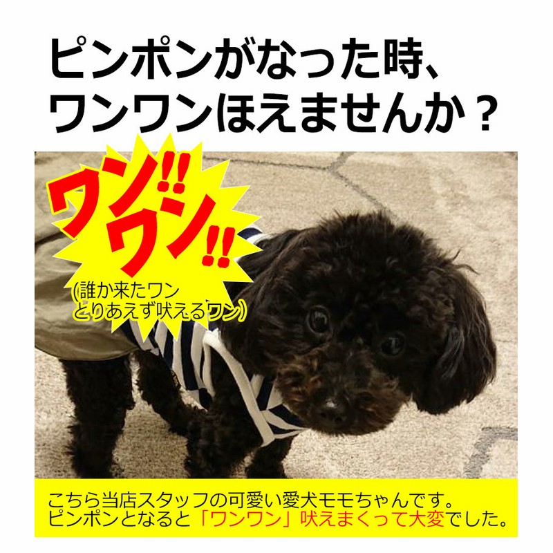 犬用 無駄吠え 禁止くん 首輪 3つの しつけ 方法 音 電気 振動 ムダ吠え 無駄吠え防止 微電流 電気ショック トレーニング 近隣トラブル 犬 防水 外飼い バッテリー 充電 正規品 最新モデル 通販 Lineポイント最大5 0 Get Lineショッピング