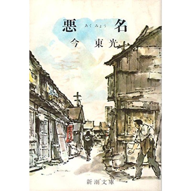 悪名 (1964年) (新潮文庫)