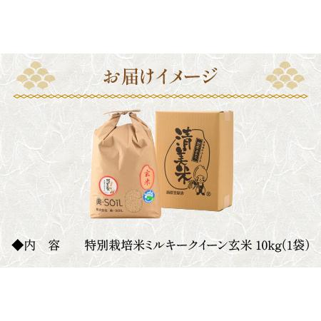 ふるさと納税 特別栽培米 ミルキークイーン 玄米 10kg 低農薬 《食味値85点以上！こだわり極上玄米》   福井県 あわら 北陸 .. 福井県あわら市