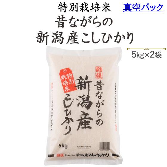 令和５年産　お米 5kg×2袋 真空パック 特別栽培米昔ながらの新潟産こしひかり5kg×2袋　送料無料(一部地域を除く)