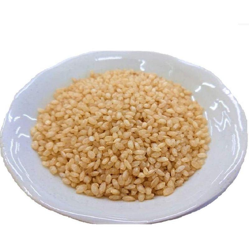 越後製菓 玄米ごはん 150g×12個