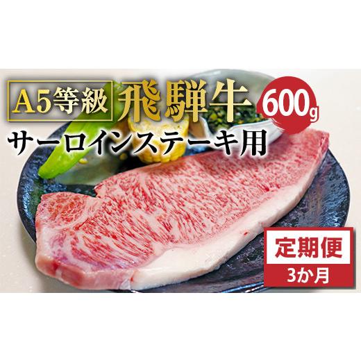 ふるさと納税 岐阜県 垂井町 Ａ5等級飛騨牛サーロインステーキ用600ｇ