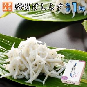 ふるさと納税 釜揚げしらす 1kg 天然 釜揚げ ふっくら しらす シラス ギフト 新鮮   離乳食 大洗 茨城県 茨城県大洗町