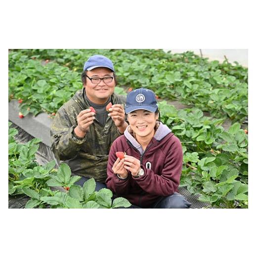 ふるさと納税 栃木県 上三川町 栃木のいちご3ヶ月お届け（スカイベリー・とちあいか・ミルキーベリー）2パック×3回※2024年1月〜3月頃に順次発送※…