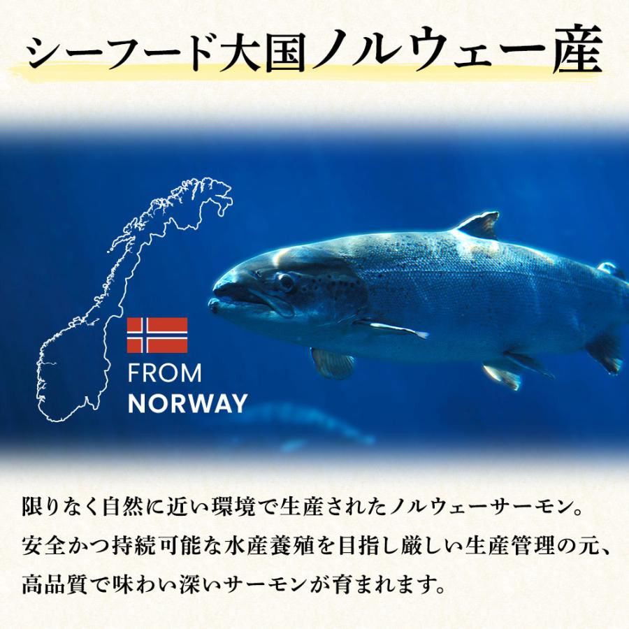 選べる 訳あり生食用 サーモン500g すき身 ネギトロ 切落し 中落ち 炙り ハラス 端材 刺身 冷凍 切り落とし 端っこ 鮭 徳用 手巻き寿司 サンドイッチ パスタ