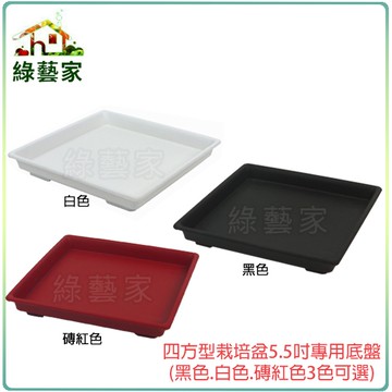 【綠藝家】四方型栽培盆5.5吋專用底盤(黑色.白色.磚紅色3色可選)