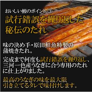 ふるさと納税 愛知県三河一色産 活うなぎの蒲焼き 特大サイズ1尾（約230g） （14-29） 兵庫県西脇市