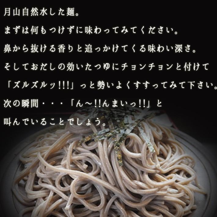 そば 蕎麦 ざるそば生麺5人前 生産元直送他商品同梱不可 月曜日発送不可 山形県 行列店 寒河江 そば処ひふみ 年越