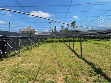 新社近公車站有水電臨路平坦美農地｜台中市新社區協中段