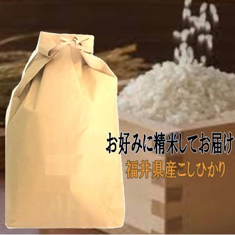 玄米仕立　石川県産 コシヒカリ こしひかり 令和4年産 玄米10ｋｇ お好みに精米してお届け