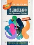 遠流活用英漢辭典（袖珍版）[二手書_普通]