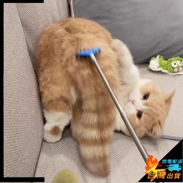 【台灣出貨】寵物撓癢器 撸貓爪 貓咪抓癢玩具 逗貓棒 撓癢癢梳子 寵物按摩梳子 狗狗解癢梳  寵物梳毛神器可伸縮逗貓玩具