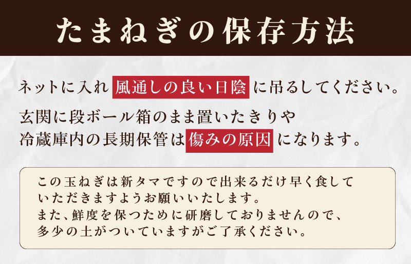 G845 射手矢さんちの泉州たまねぎ 10kg