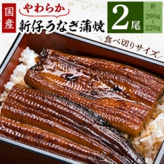 国内産やわらか新仔うなぎ蒲焼2尾　合計200～220g(食べ切りサイズ)