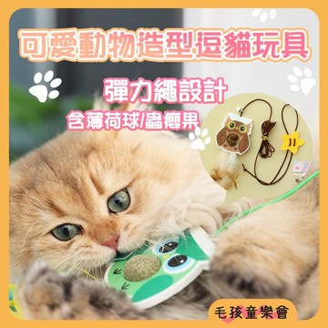 門掛式逗貓玩具 【貓草球/蟲癭果】 吊掛式逗貓棒 逗貓棒 門掛式逗貓棒 貓咪蕩鞦韆 掛門玩具 貓咪自嗨 懸掛逗貓棒
