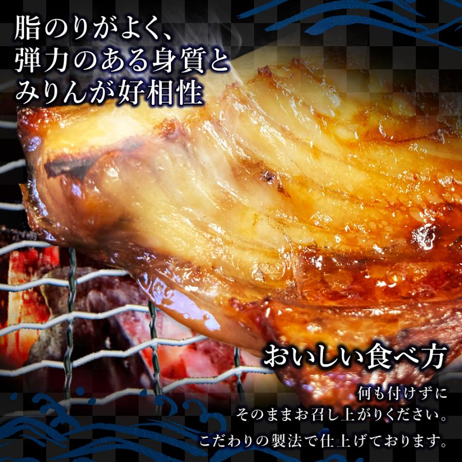 (b002-11)★新技法でさらに美味しい！★石巻港 認証品 宮城県産 金華さば 一夜干し＆みりん干し各5枚 計10枚セット無添加干物