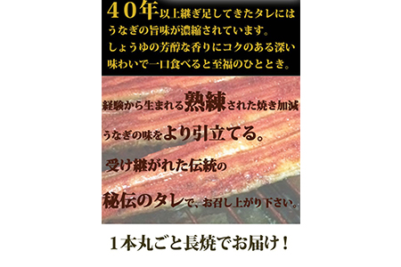 大型サイズ　 ふっくら柔らか国産うなぎ蒲焼き　約２人前　化粧箱入◆