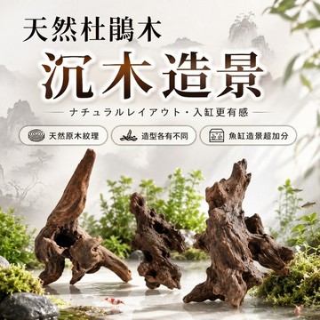 【現貨】天然杜鵑木沉木造景 魚缸原木擺件 水草缸蝦缸佈景 空鳳苔蘚植物附生木 約10至20cm 隨機造型 水族造景用品