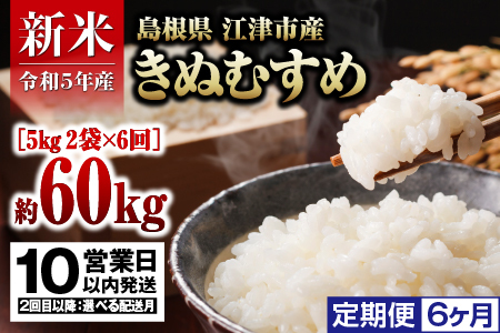  島根県 江津市産 邑智郡産 きぬむすめ 10㎏×6回令和5年産 新米 白米