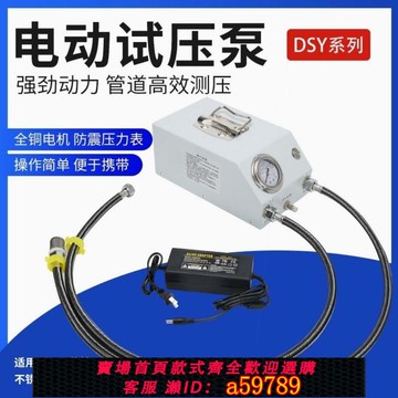 【全網低價 可打統編】進口技術打壓泵手提式手動電動試壓泵PPR水管打壓機測壓機地暖泵