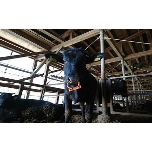 ふるさと納税 滋賀県 高島市 ◆近江牛シャトーブリアンロース 宝牧場