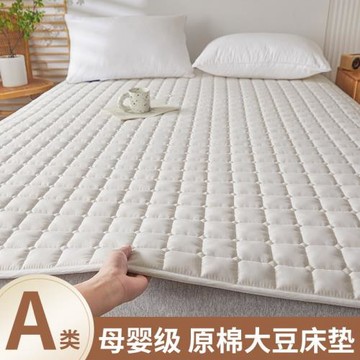 床墊軟墊家用臥室薄款防滑墊褥宿舍學生單雙人榻榻米保護墊可機洗