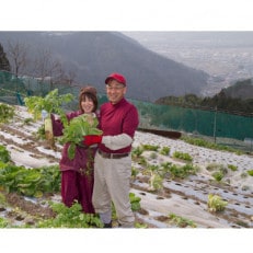 田口農園徳島の世界農業遺産ブランド野菜　 農家人が選ぶ旬野菜のおまかせセット