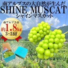 山梨県南アルプス市産　旬の採れたてシャインマスカット　秀等品　約1.8kg　3～5房