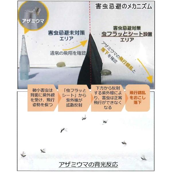 KOIZUMI (小泉製麻)　虫フラッとシート　幅100cm×長さ100m　紫外線域含む高反射シート