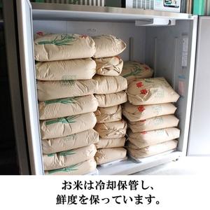 ふるさと納税 兵庫県小野市産100％ ひのひかり お米 15kg《令和4年産》（白米 ・ 玄米 選択可） 白米 兵庫県小野市