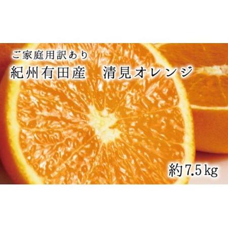 ふるさと納税 紀州有田産清見オレンジ7.5kg　※2024年3月下旬頃〜2024年4月下旬頃に順次発送予定(お届け日指定不可) 【uot7.. 和歌山県新宮市